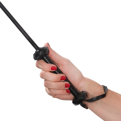 Latigo-Puntero-Gatico-Negro-